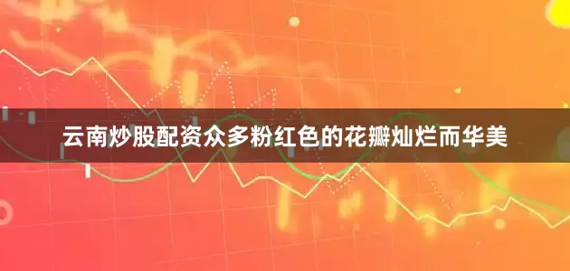 云南炒股配资众多粉红色的花瓣灿烂而华美