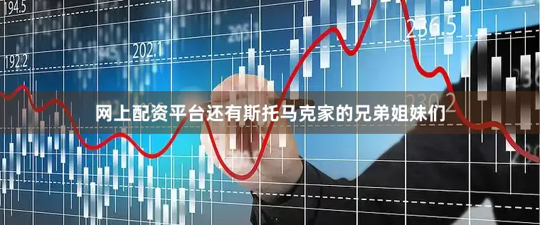 网上配资平台还有斯托马克家的兄弟姐妹们