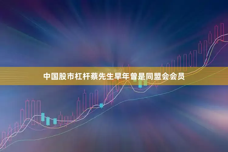 中国股市杠杆蔡先生早年曾是同盟会会员